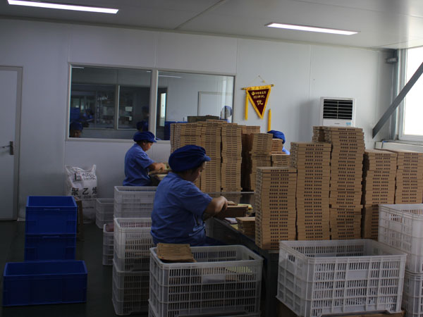 膏藥oem貼牌代加工起訂量多少？價格一般多少錢